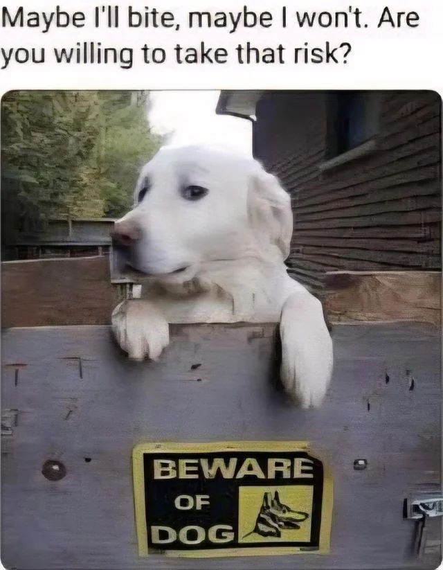MemesToSave's tweet photo. https://t.co/Pe6kgRVM2n