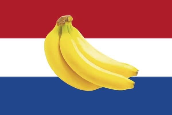 Miep tweet media