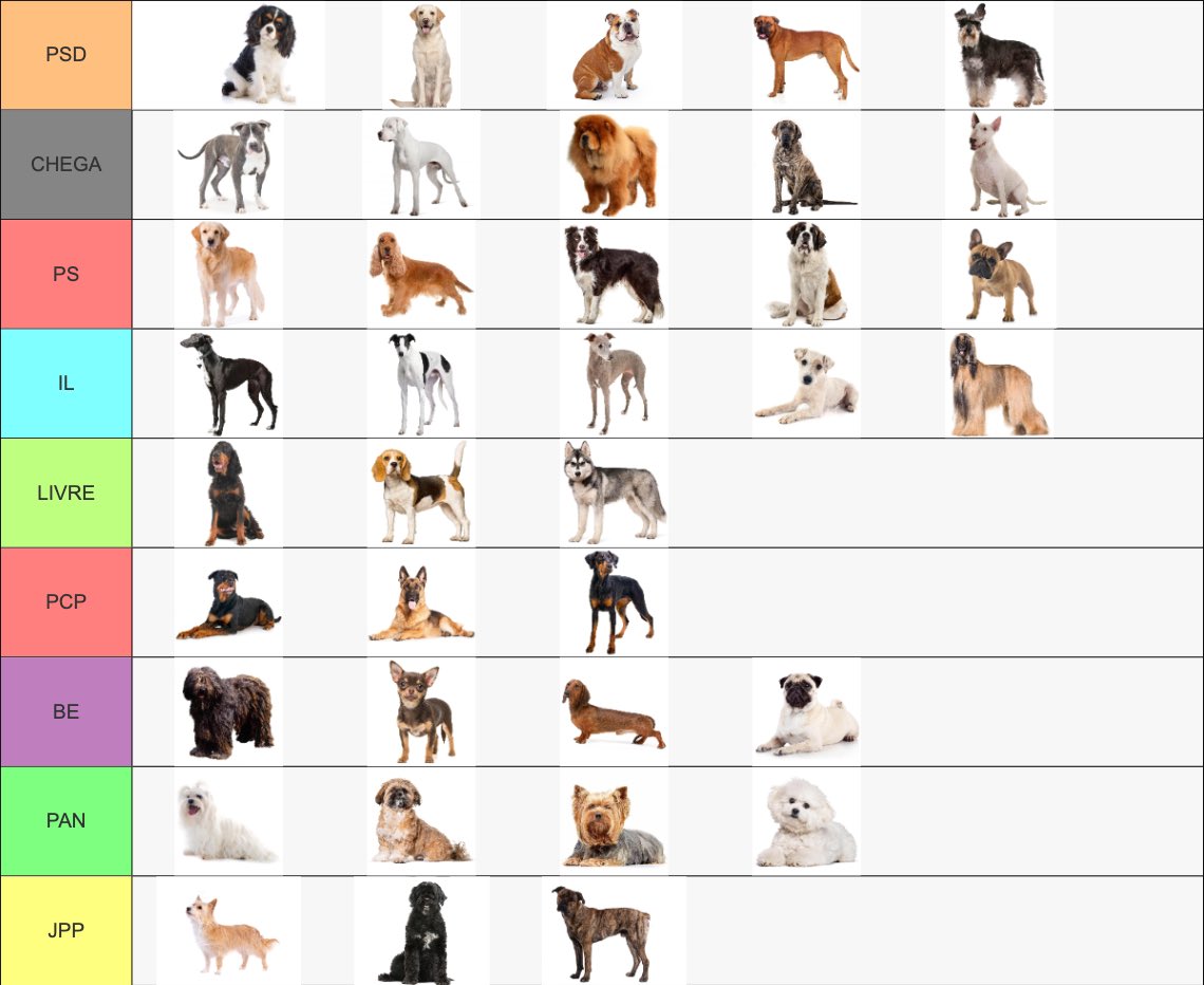 Se as raças de cães que mais aparecem nas minhas consultas votassem: