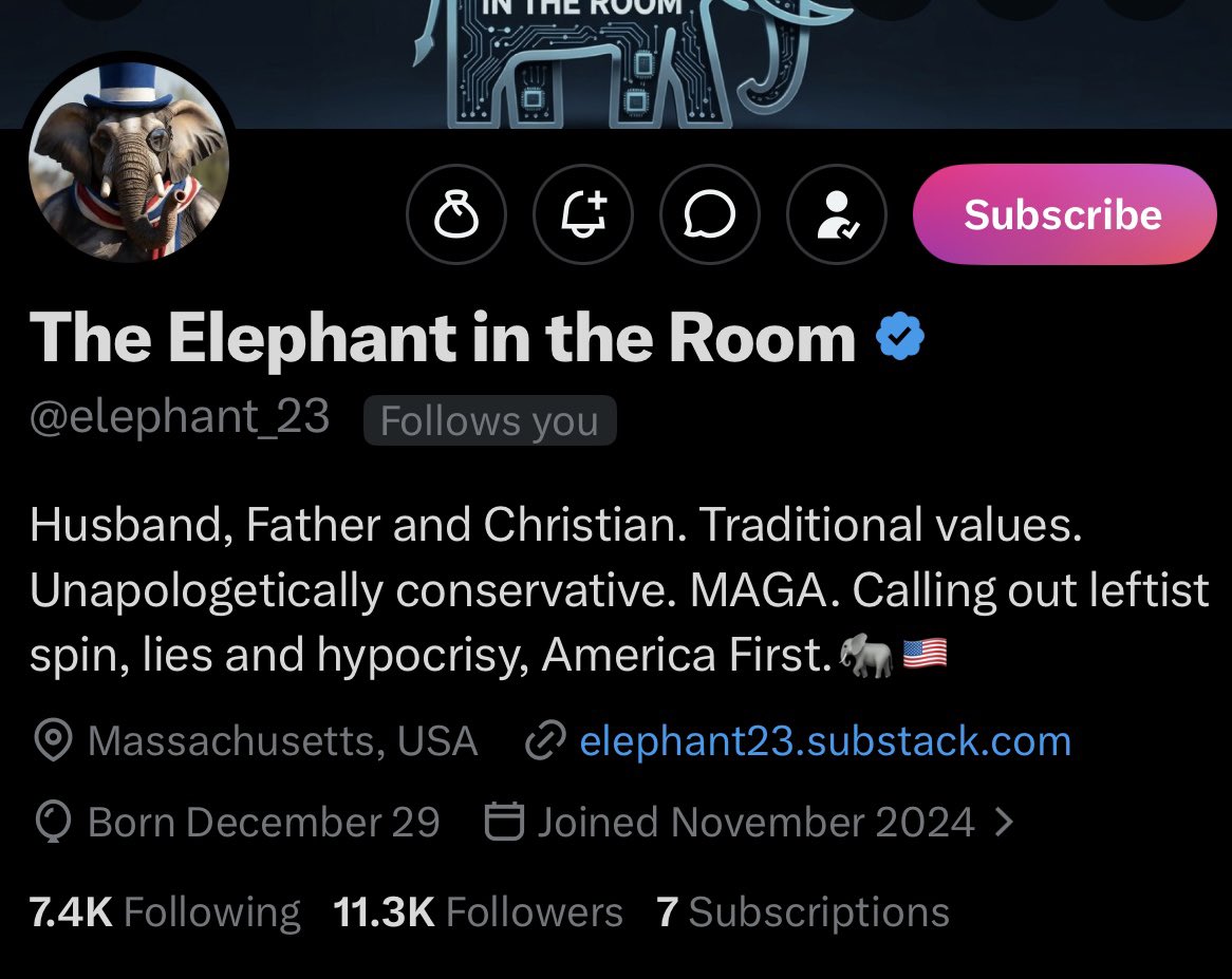 American Woman (Michele) 🇺🇸 tweet media