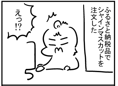 ブログ更新!「シャインマスカットを注文したら…」
https://t.co/tL2qwKPLV5 
