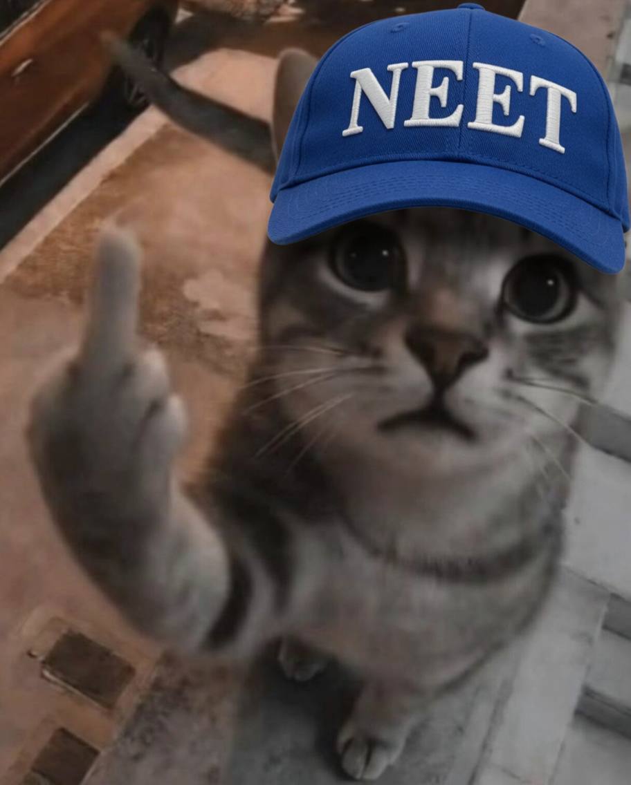 NEET CHUD tweet media
