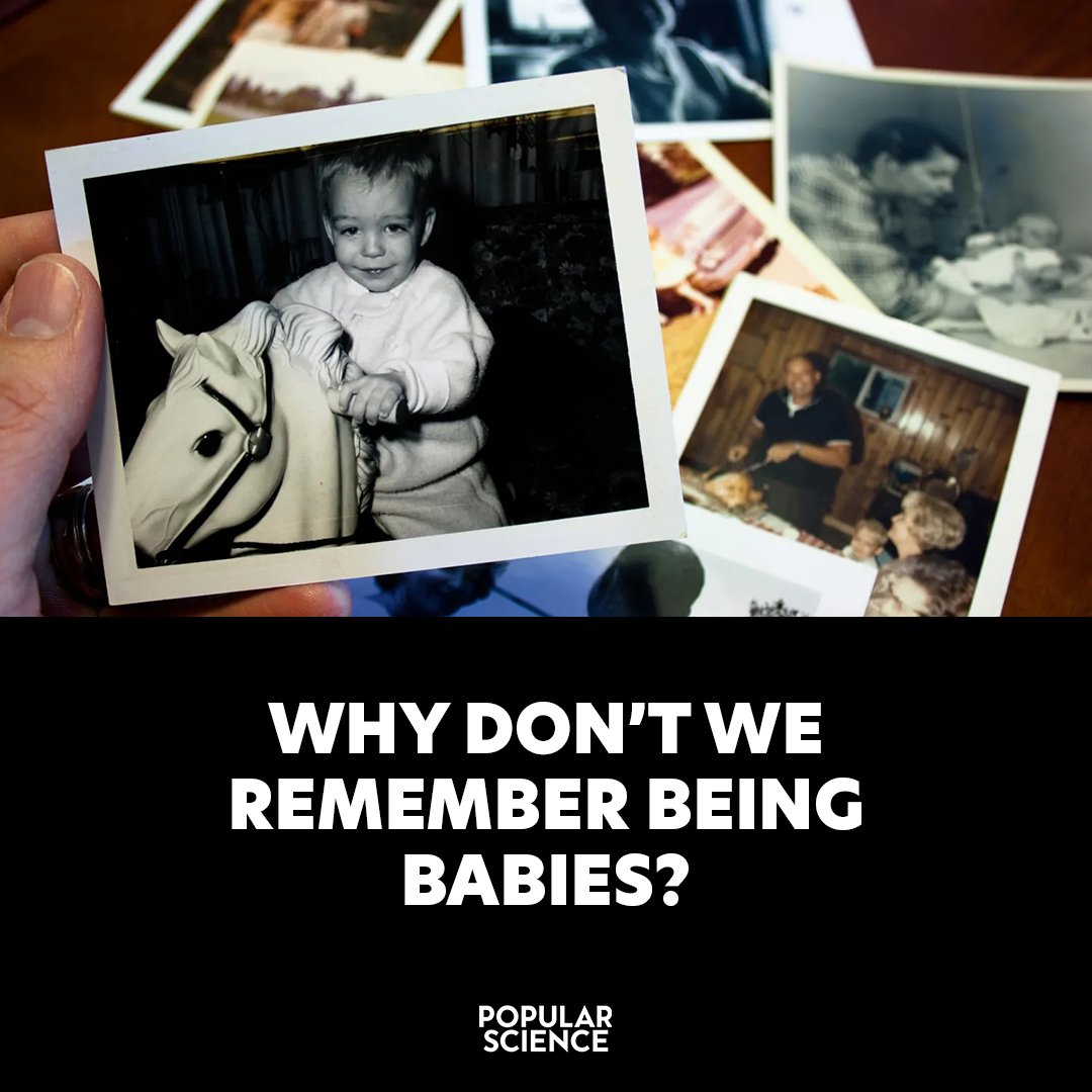 Popular Science tweet media