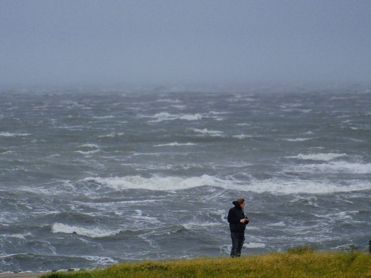 futurezone_de tweet media