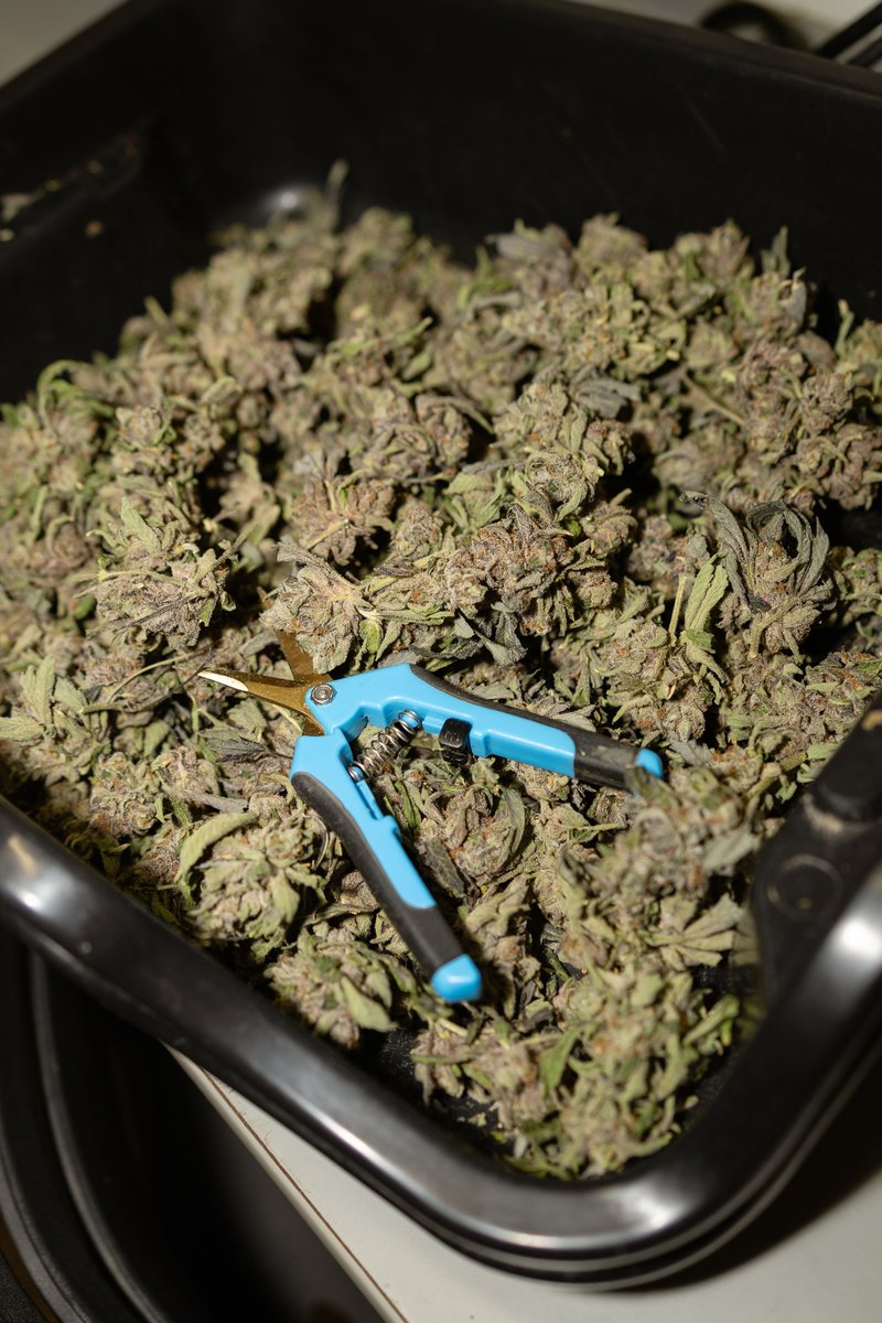 DogHouse Farms - Michigan tweet media