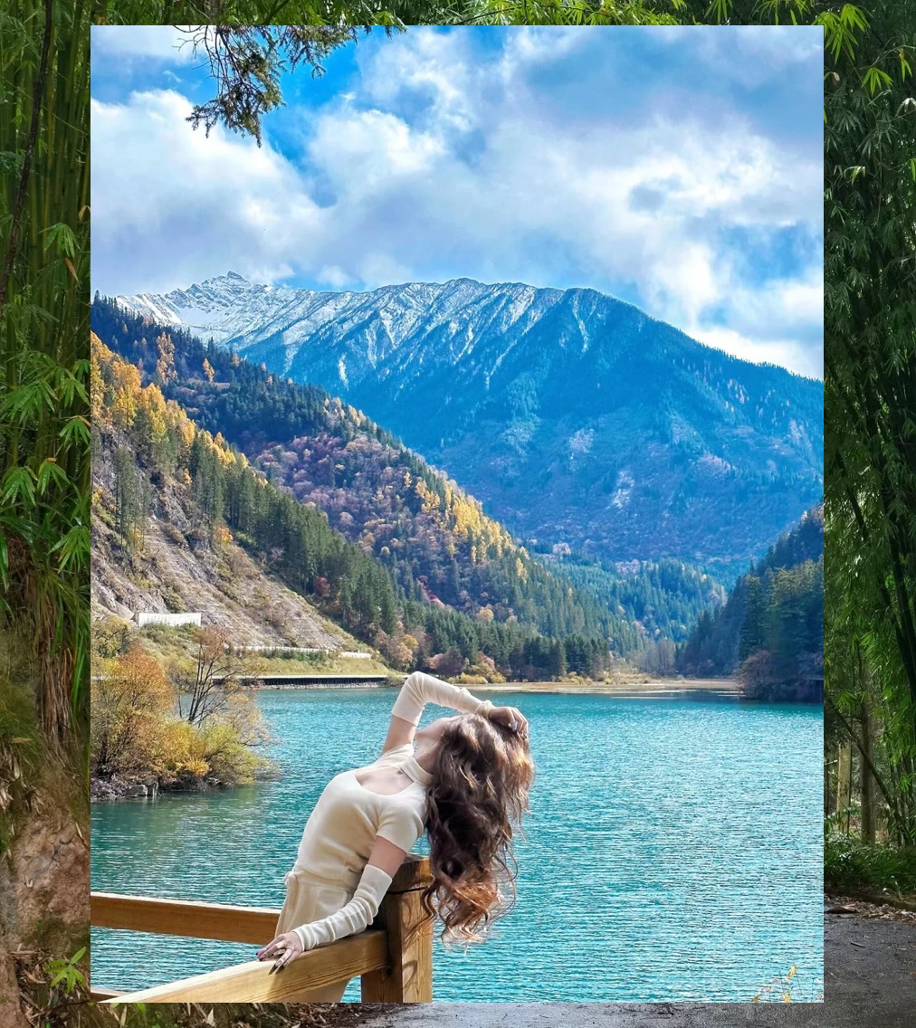 Matthew Collard tweet media