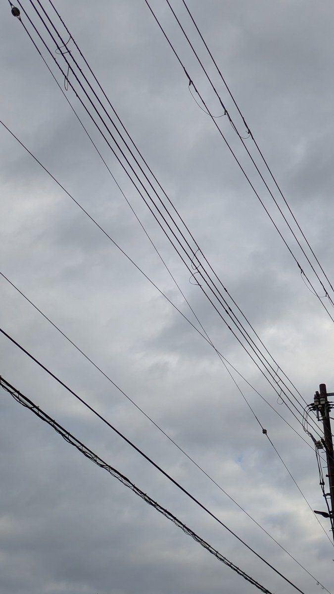 akindoh(あきんどー) tweet media