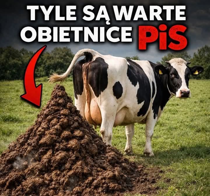 Piotr254's tweet photo. @mwojcik_ https://t.co/ayv2sE2Od5