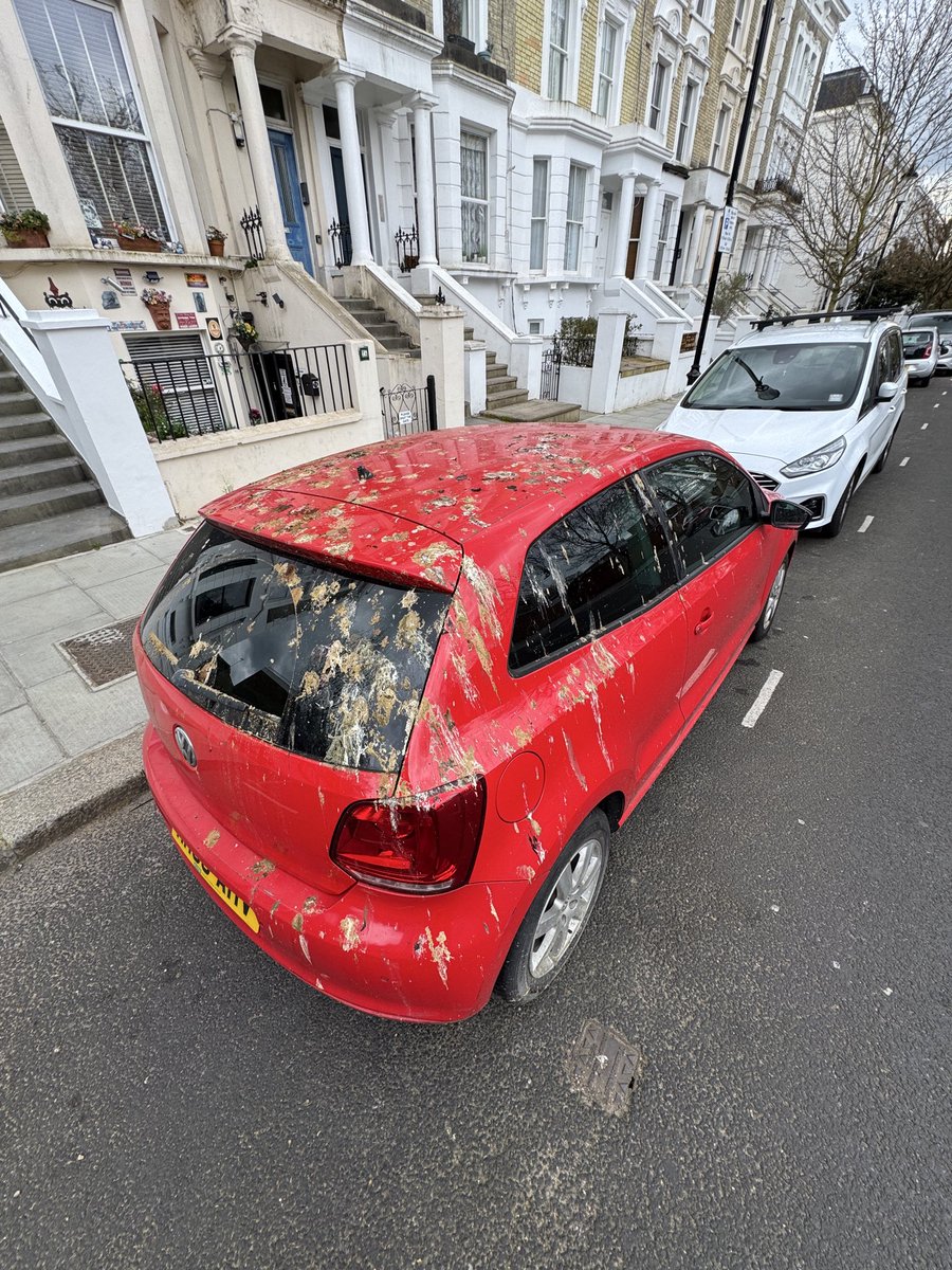 ssadiejanee tweet media