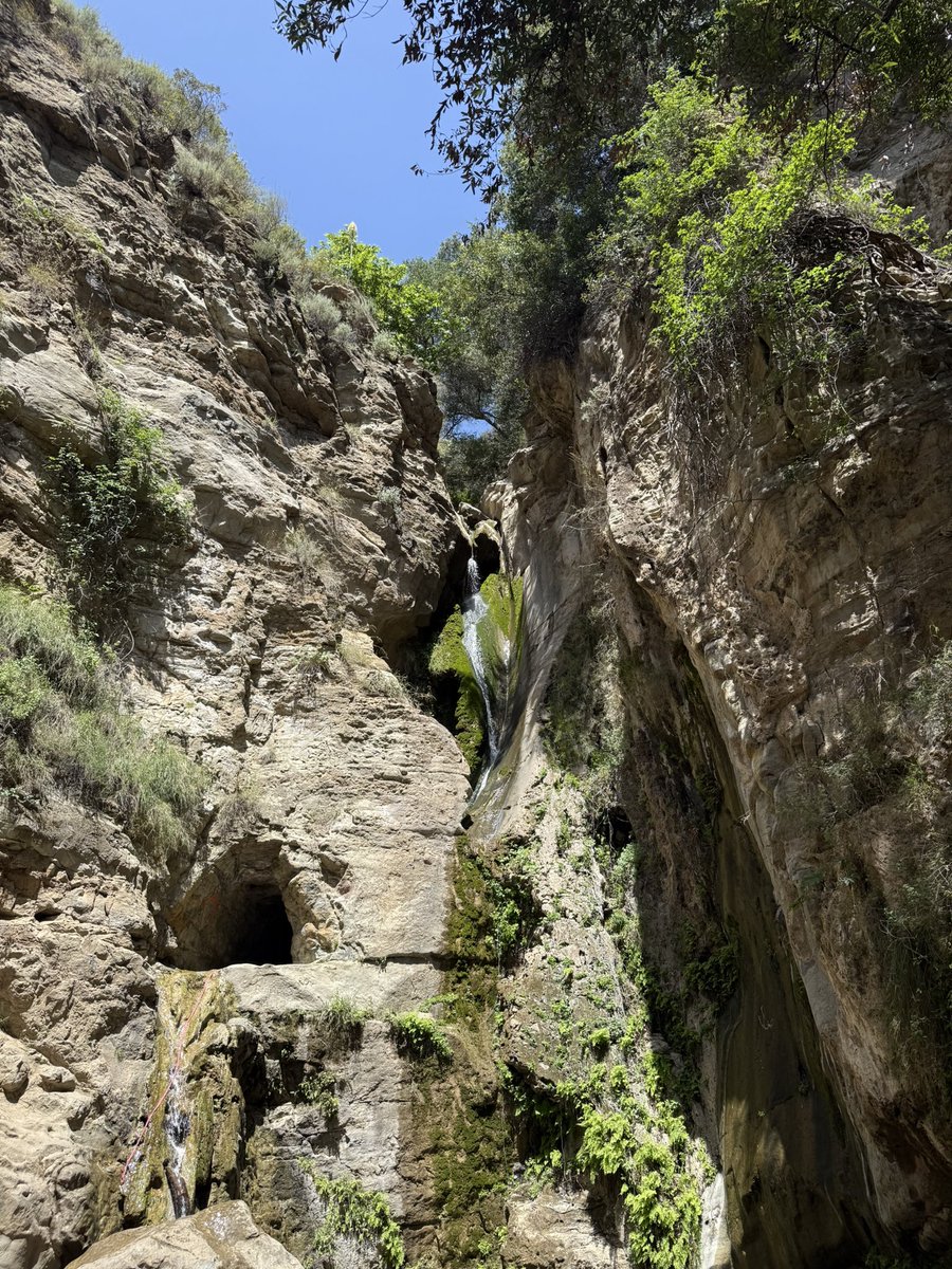 bunny ૮꒰ ˶• ༝ •˶꒱ა ♡ tweet media