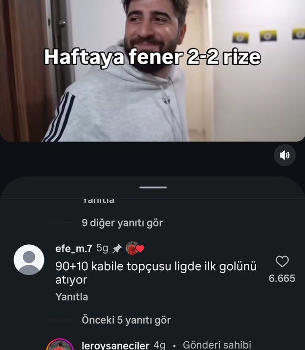 efe #mhy tweet media