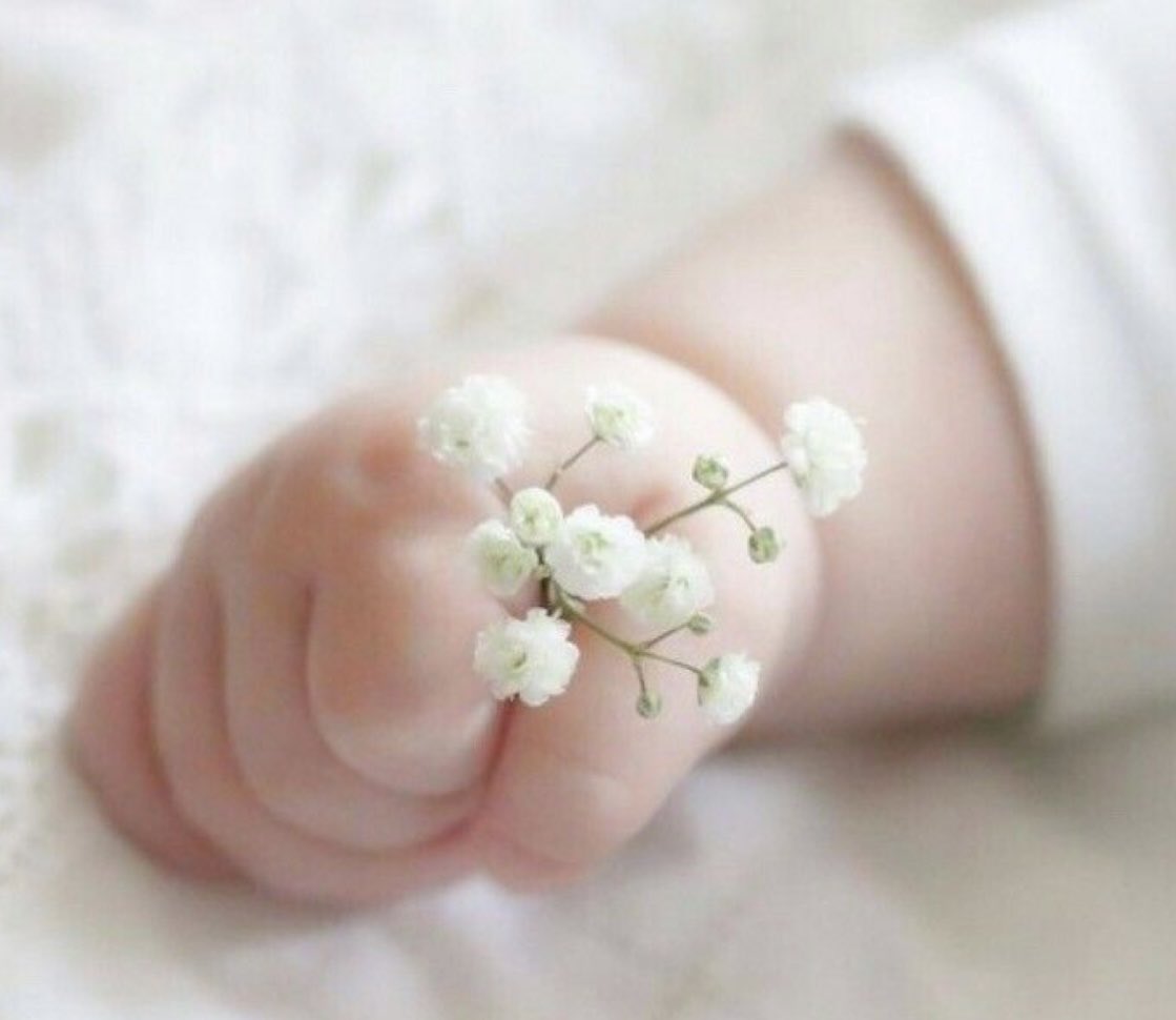 mm4ii4's tweet photo. في كفّـه تبـدأ الحيـاة . . https://t.co/cza9eBJlQS