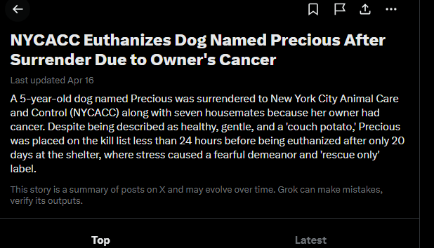 MarkDevoor's tweet photo. Holy F*CK. This is GENNY.

Literally PNUT all over again?

The NYC government euthanized a dog and people are out in the street protesting.

Trending page:
https://t.co/jgb15zWDPW https://t.co/P9jYJbv71N