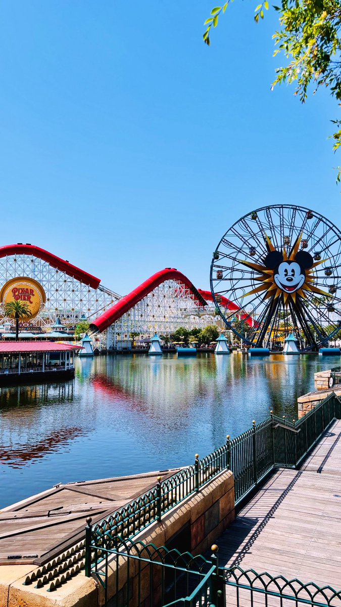 d shmoney🍯 tweet media