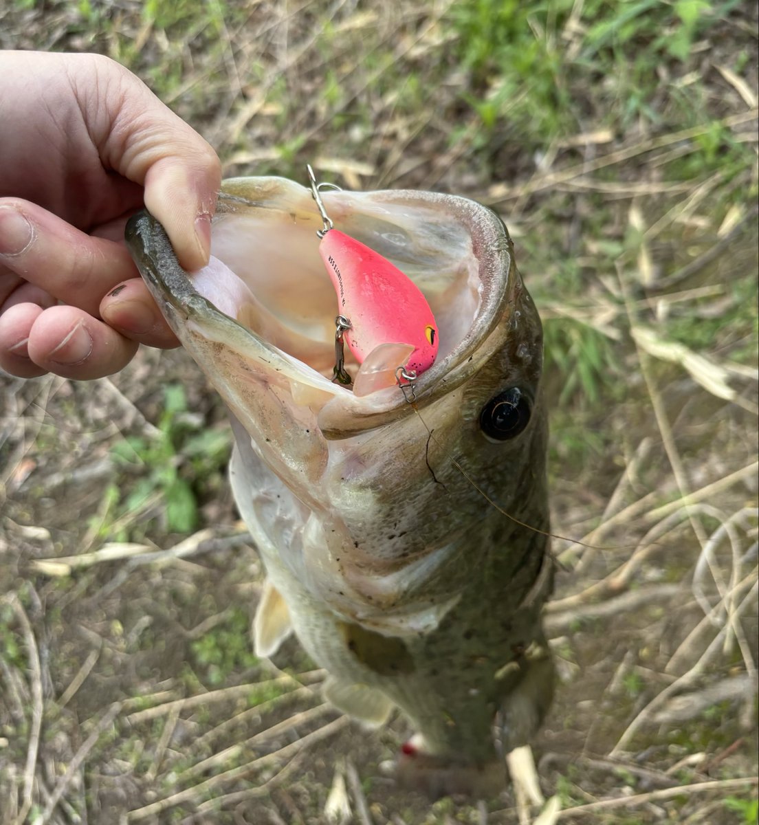 ふぉ〜す out sole tweet media