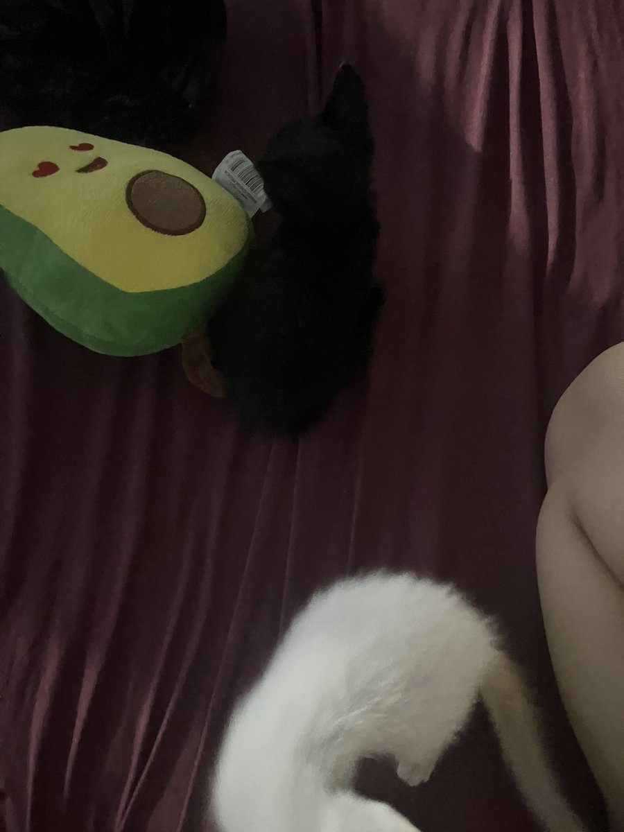 julia ﾒˇ𝟶 tweet media