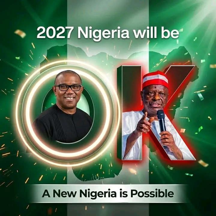 Oseloka H. Obaze (OHO) tweet media