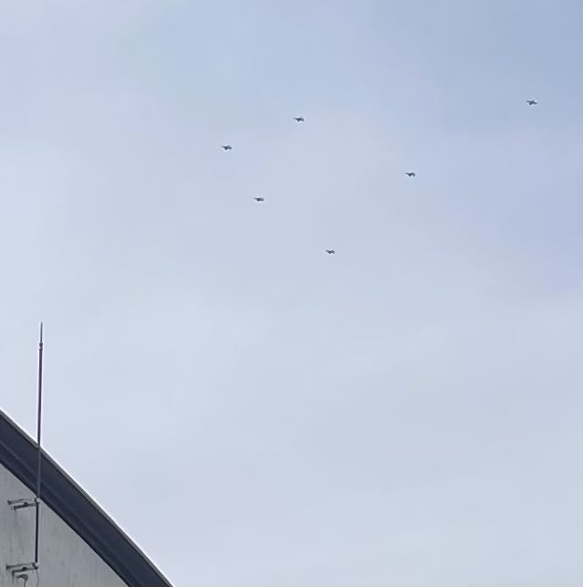 ベンガル🐆🐆ALB⚽🦢 tweet media