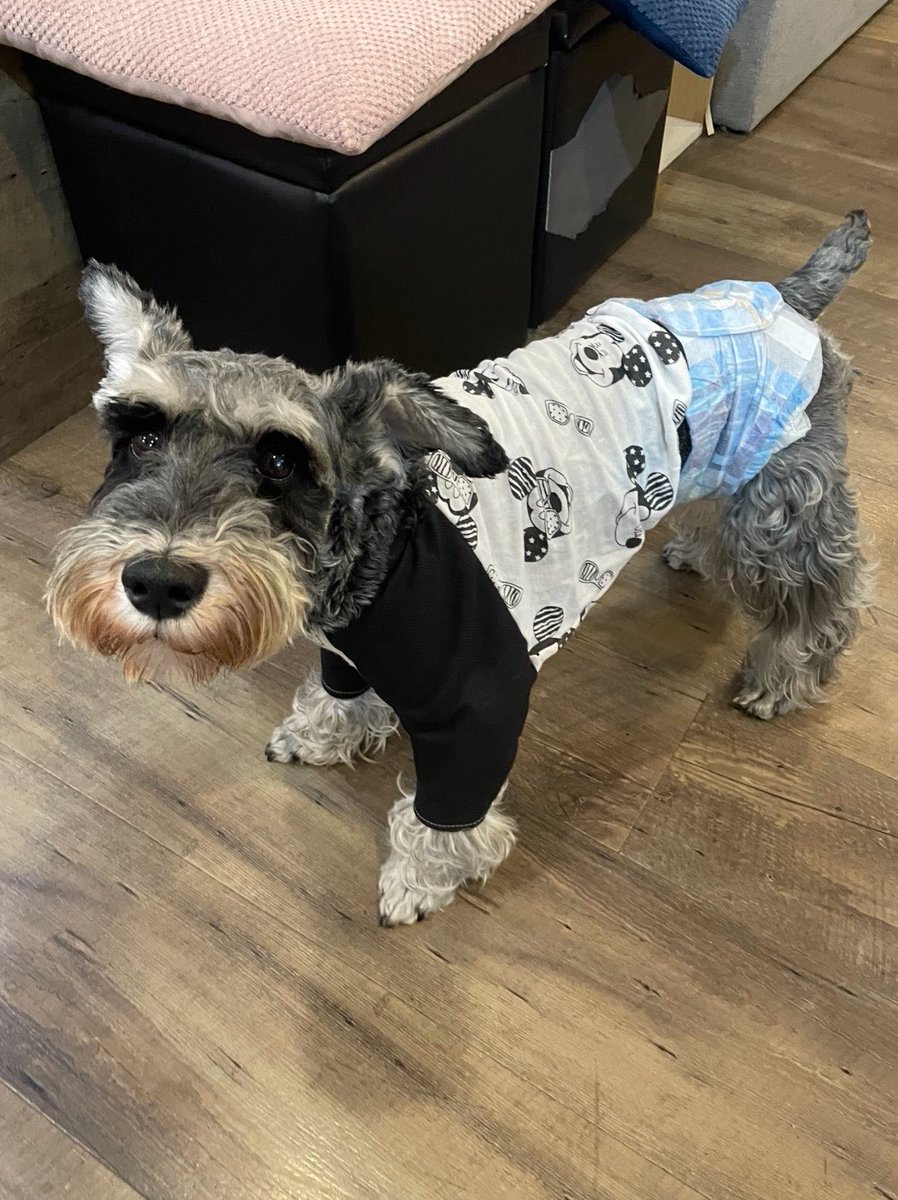 NPO法人LoveFive tweet media