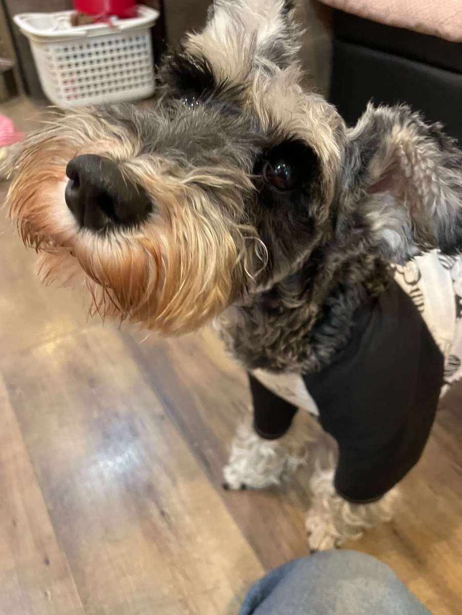 NPO法人LoveFive tweet media