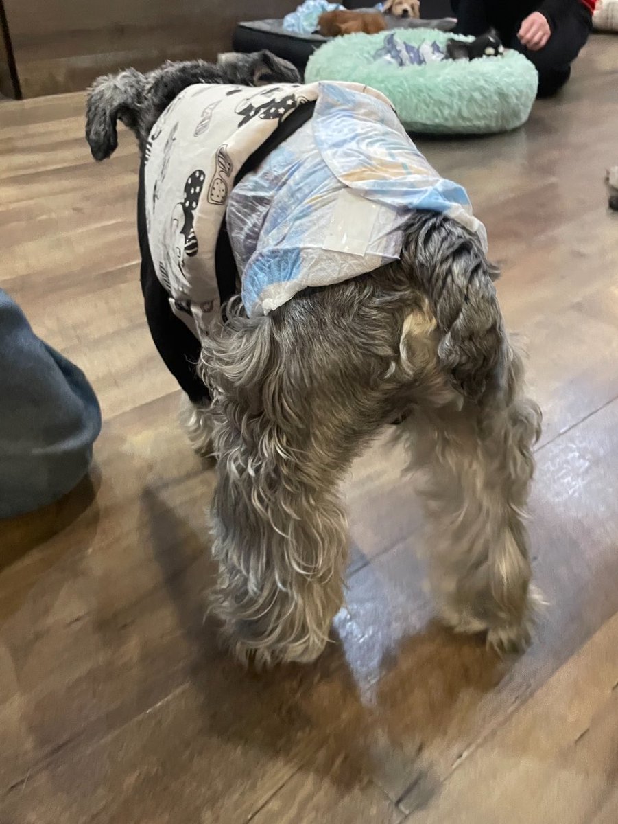 NPO法人LoveFive tweet media