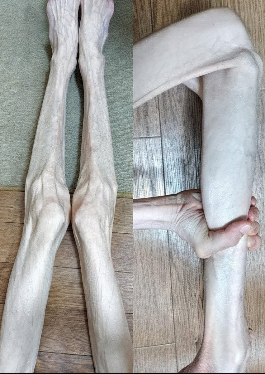 🇯🇵東雲長閑 tweet media