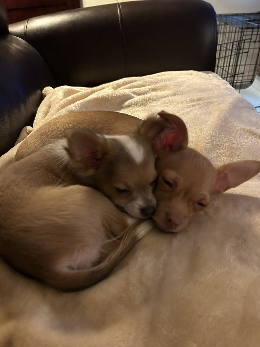 Aren’t they sweet?