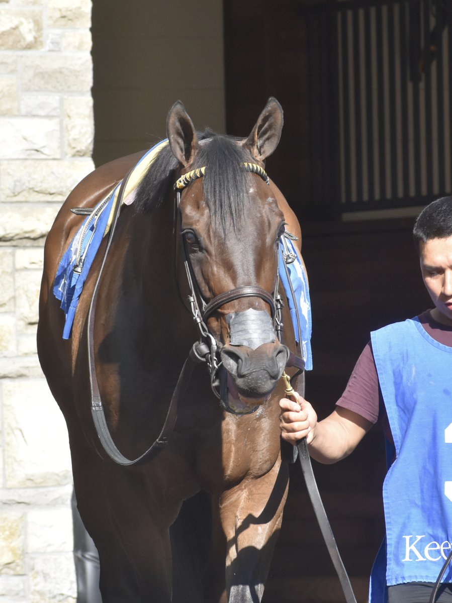 Equitrack tweet media