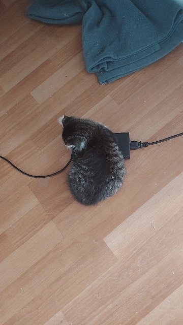 Just how fast the night changes...?