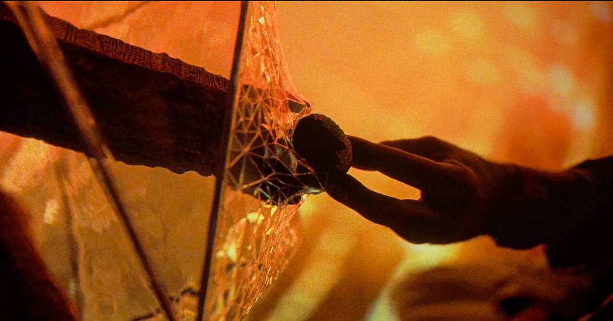 project hail chlo ☻ tweet media