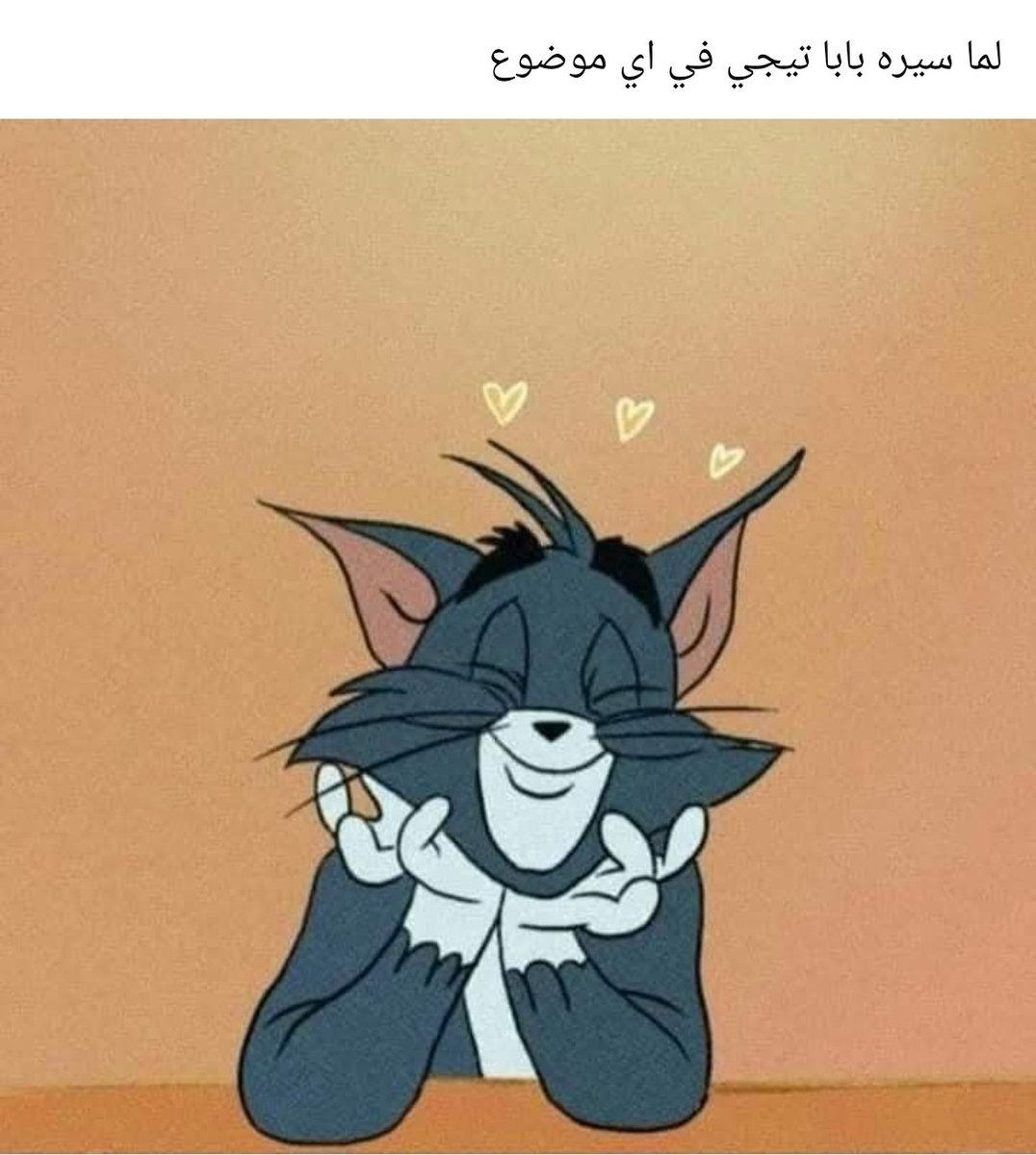 Zainab 🇯🇴 tweet media