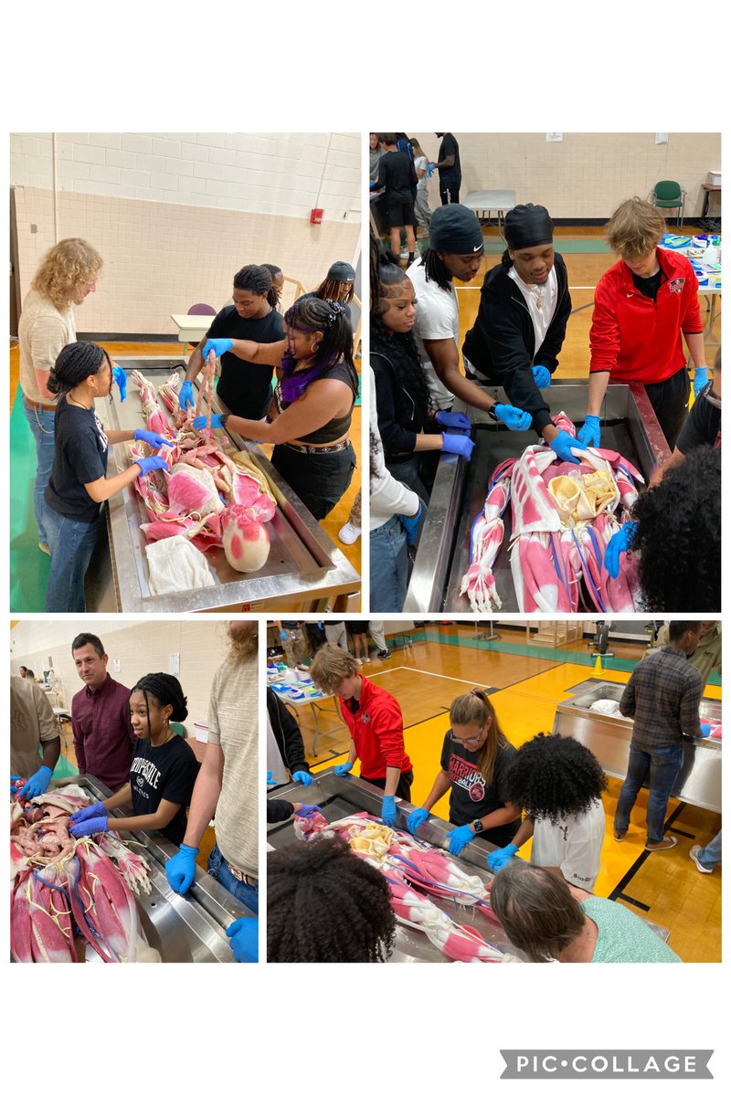 little_gunther's tweet image. Opportunities like this play a vital role in advancing students educational experiences &amp;amp; support meaningful career exploration. Thank you Dr. Wolf and Dr. Thomas from @NorfolkState for engaging with @SufVAschools  high school students today.
#SPSCreatesAchievers #ExerciseScience
