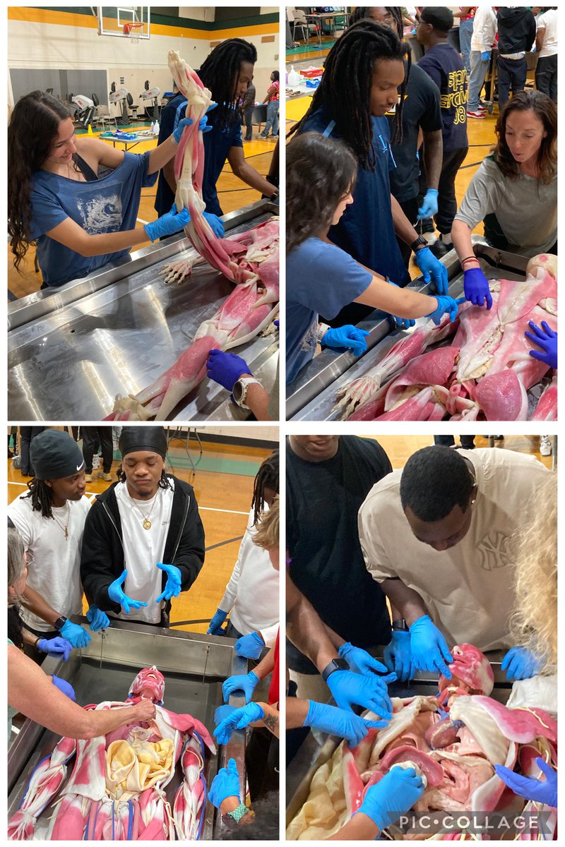 little_gunther's tweet image. Opportunities like this play a vital role in advancing students educational experiences &amp;amp; support meaningful career exploration. Thank you Dr. Wolf and Dr. Thomas from @NorfolkState for engaging with @SufVAschools  high school students today.
#SPSCreatesAchievers #ExerciseScience