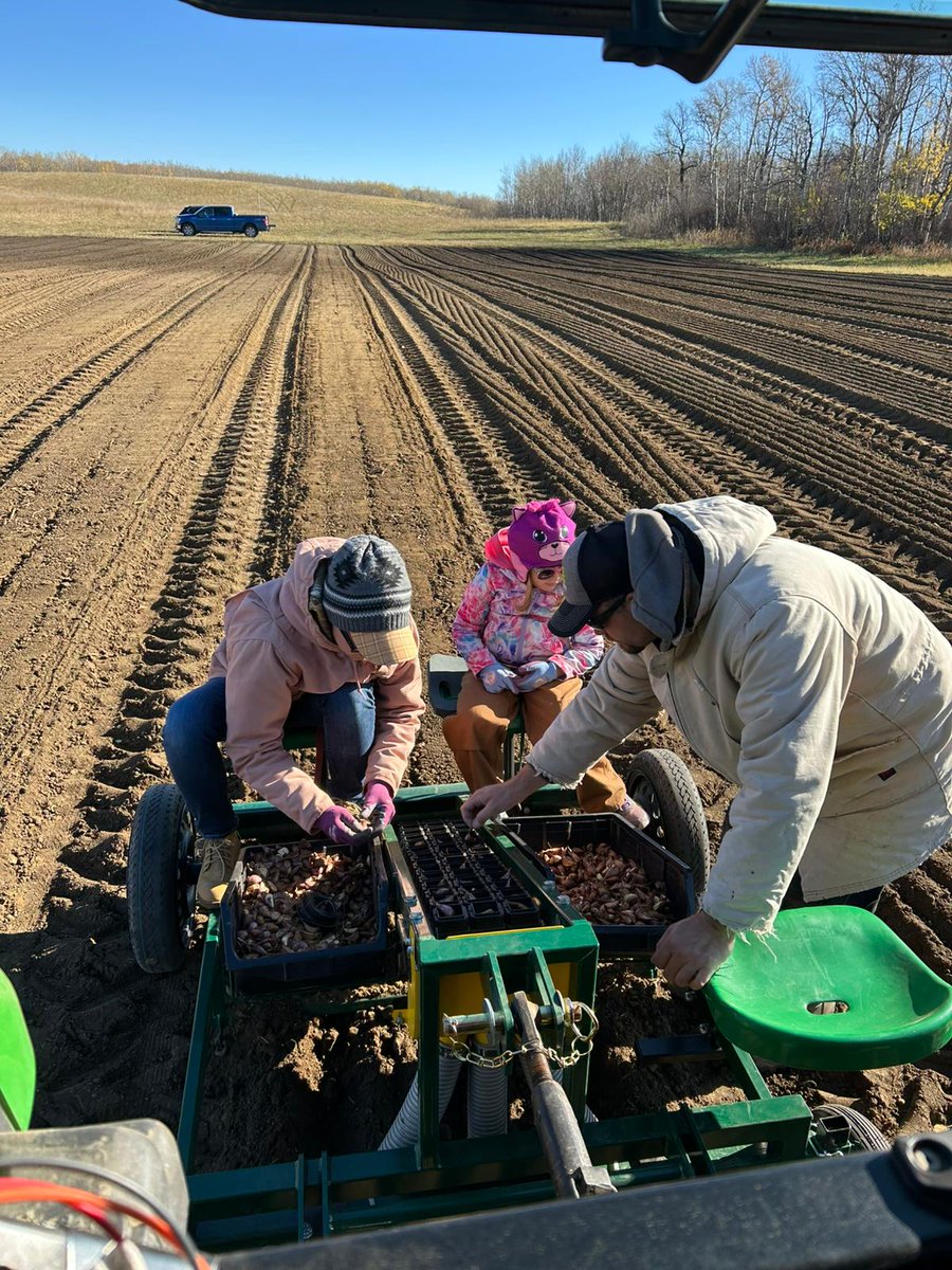 PGSequipment's tweet image. There’s nothing better than family time in the field 🌱
Planting garlic together using the Garmach planter - making memories while getting the job done. It’s always great to see the next generation involved and learning the ropes!

#PlantingSeason #GarlicPlanting #Garmach #PGS