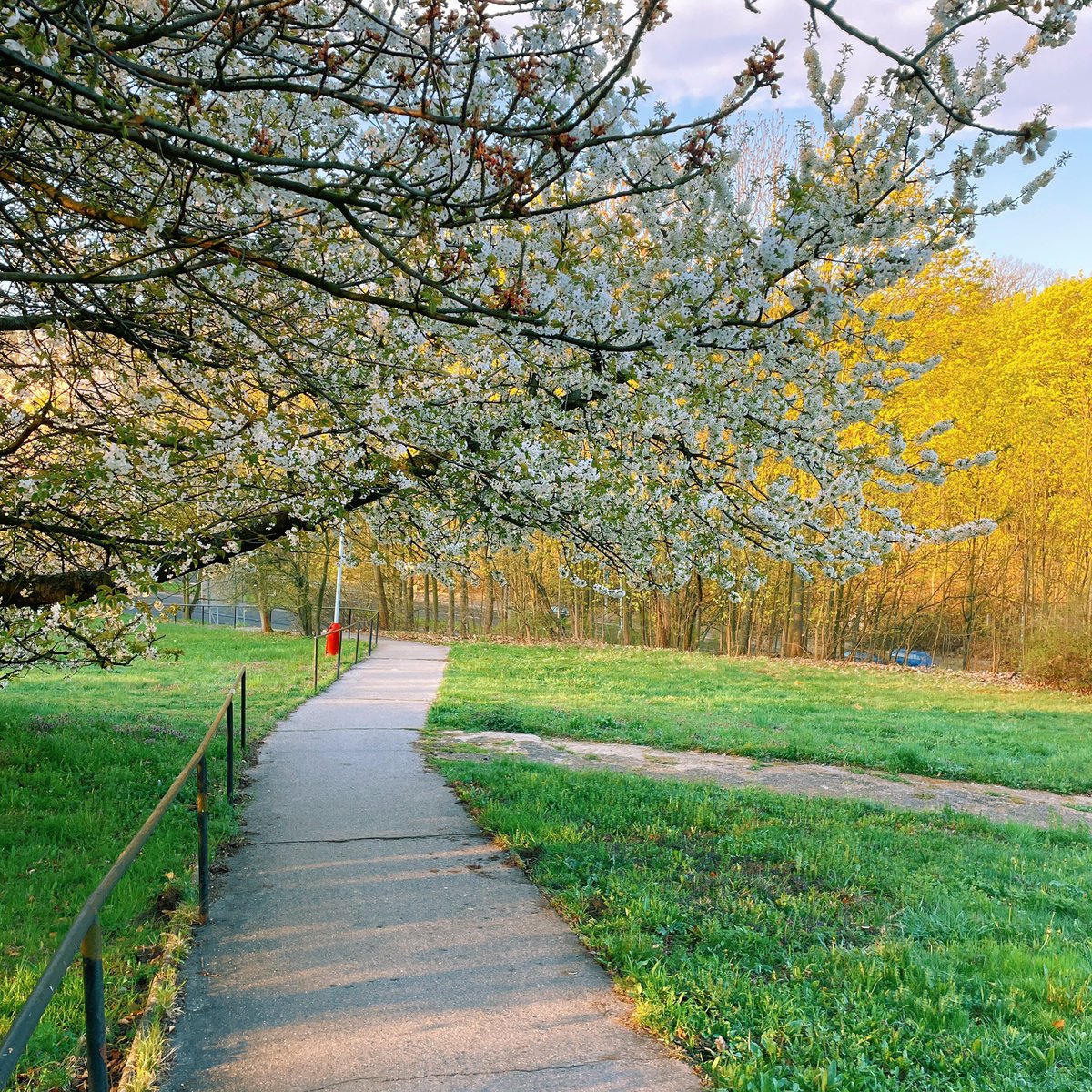 maciumaciowy's tweet photo. #zchodzenia #wiosna #spring #jaro #duben #ustinadlabem #maciuwczechach https://t.co/Dl9zwBWDmq