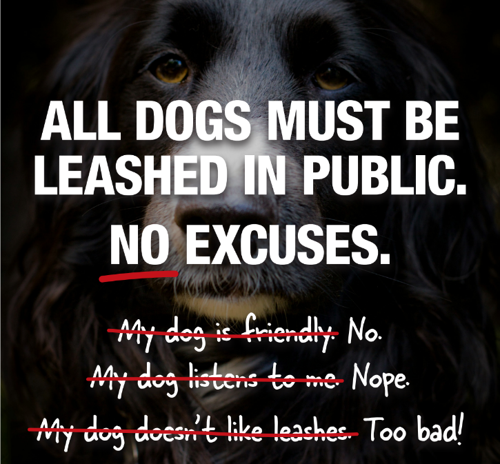 City of Toronto 🇨🇦 tweet media