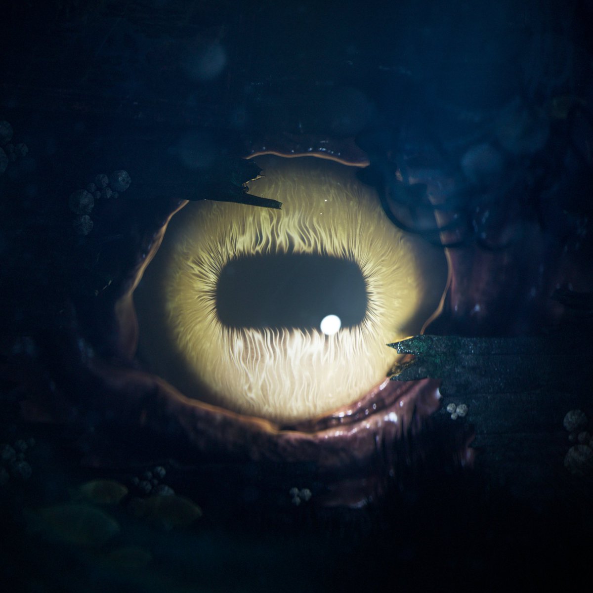 Auguyfx's tweet photo. Haven’t posted in a while

3D work - all aspects 🐟 https://t.co/O9wbzh39Nw