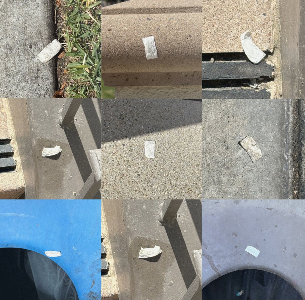 giveashitnature's tweet photo. I never knew how many Zyn packets were littered everywhere until I pulled one out of my dog's mouth.

Now I see them everywhere.

A single used pouch contains enough nicotine to seriously harm a small dog and kill a songbird. Nicotine is acutely toxic to almost every animal smaller than a human.

And unlike cigarette butts, which at least look like trash, Zyns look like candy. A bright white pillow the size of a Tic Tac. Dogs grab them. Kids pick them up. Wildlife investigates.

If you use them, don't be gross. Throw them away like an adult.