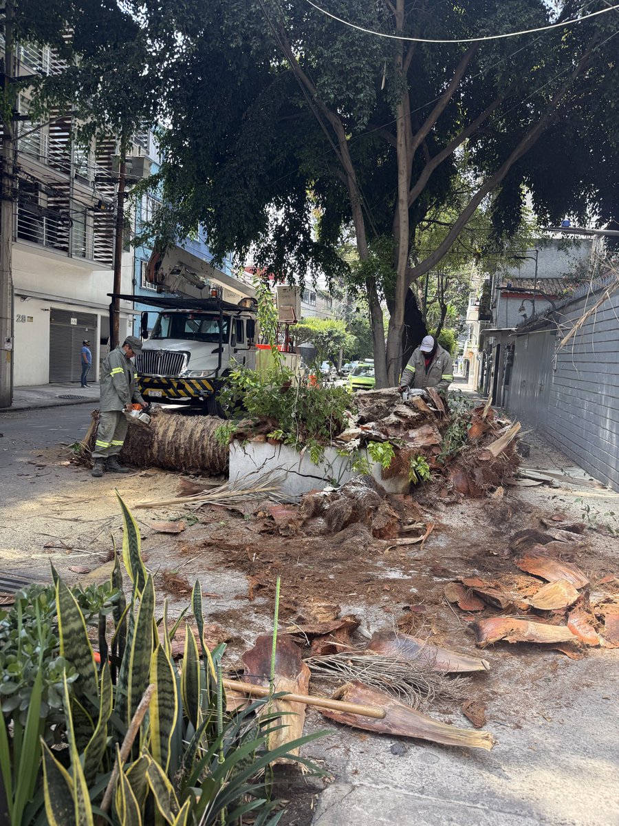 Sara Y Munoz tweet media