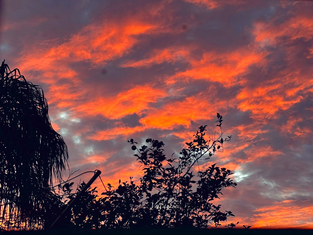 VijayEllaurie's tweet image. It’s Golden Hour Friday. 
Let’s see your favourite golden hour shot — where light meets calm. #goldenhour #nature