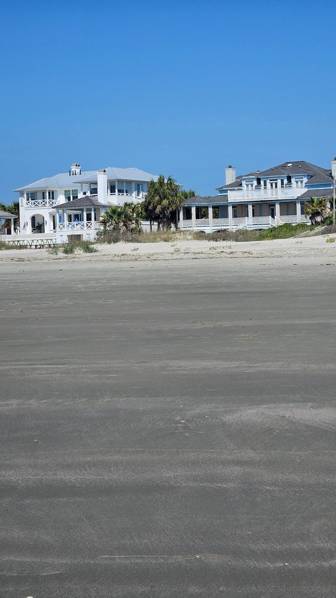 Fredward tweet media