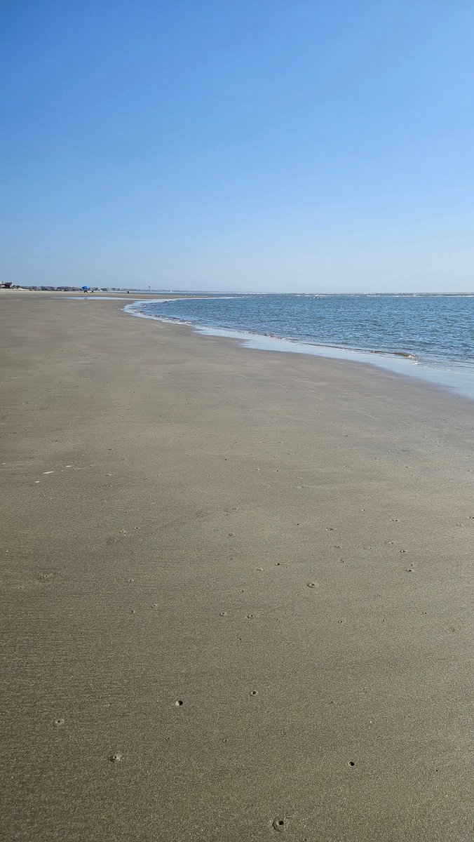 Fredward tweet media