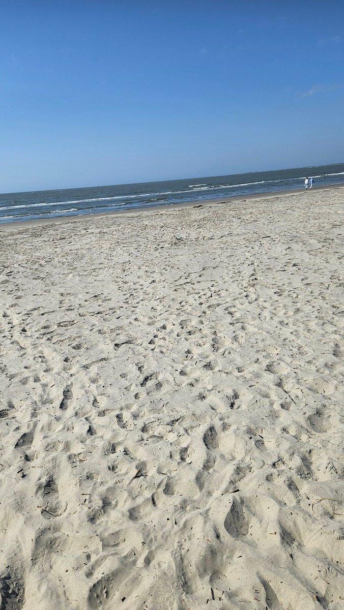 Fredward tweet media