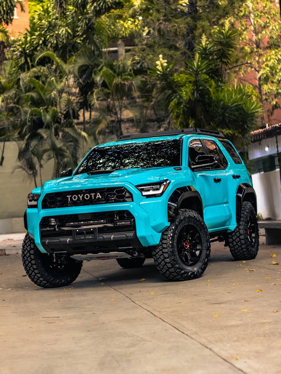 Bra Peter tweet media