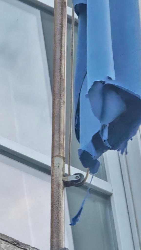 Víctor González tweet media