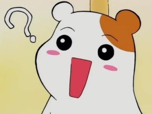 치냥 tweet media
