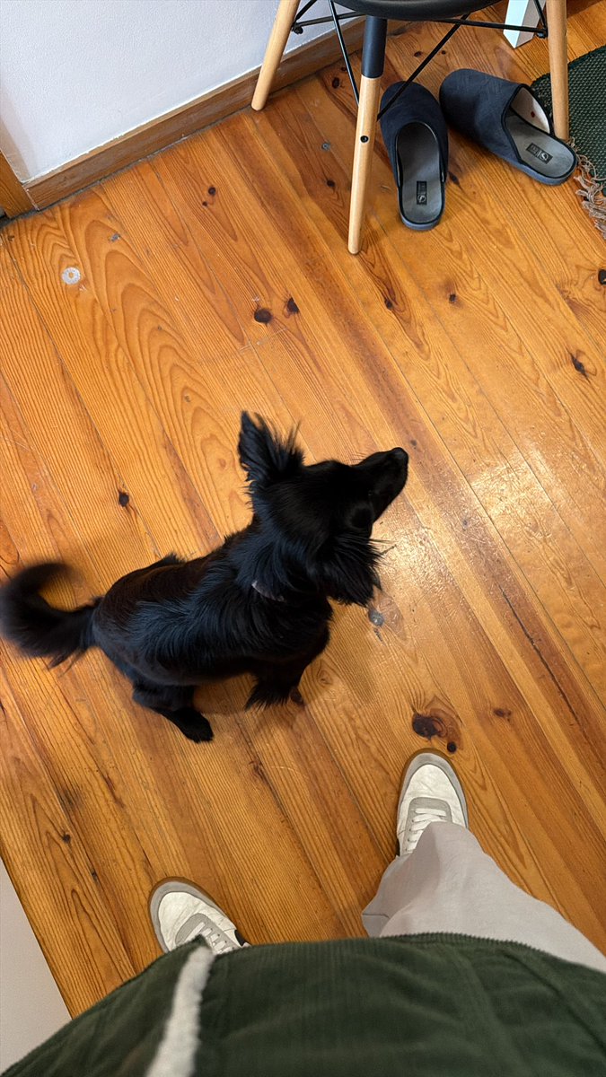 Luke Toledo tweet media