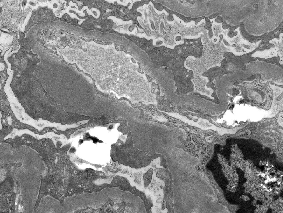 Jonathan Zuckerman MD PhD tweet media