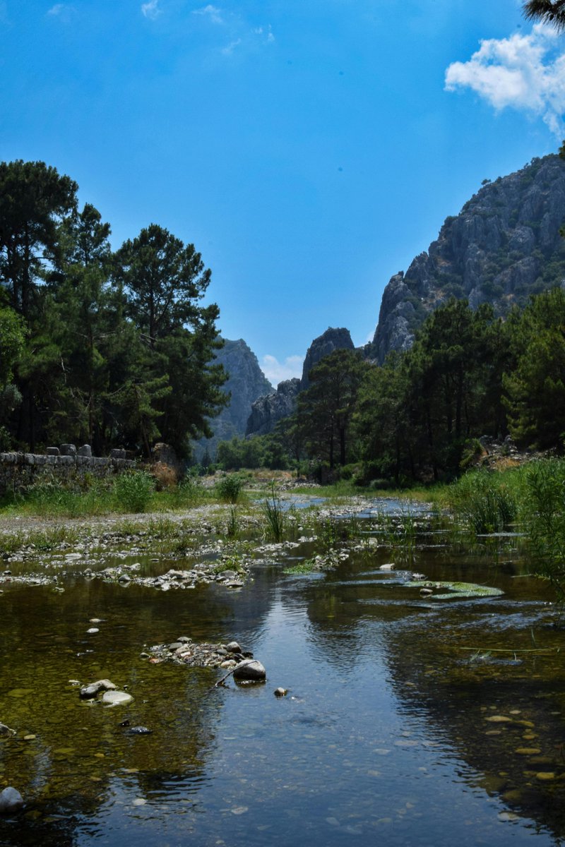 kim jung eun tweet media