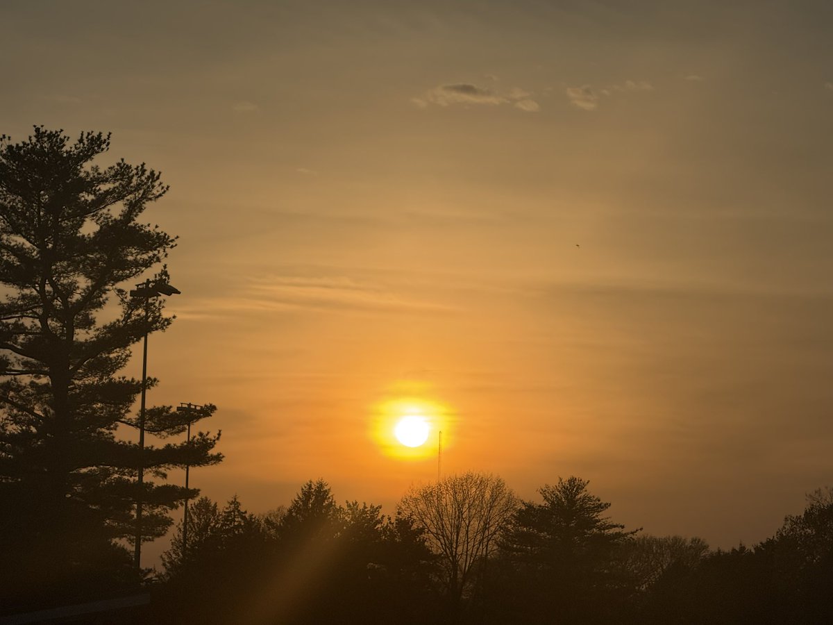 MegaKnight01 tweet media